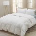Byrnes' Crate Supreme Luxury Down Comforter